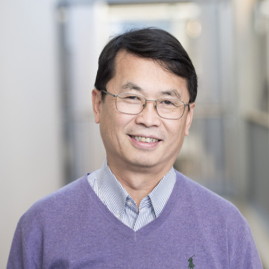 Prof. Jinyue Yan, Applied Energy-Elsevier